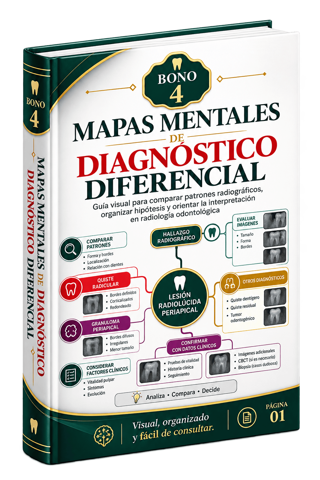 Portada de Mapas Mentales de Diagnóstico Diferencial