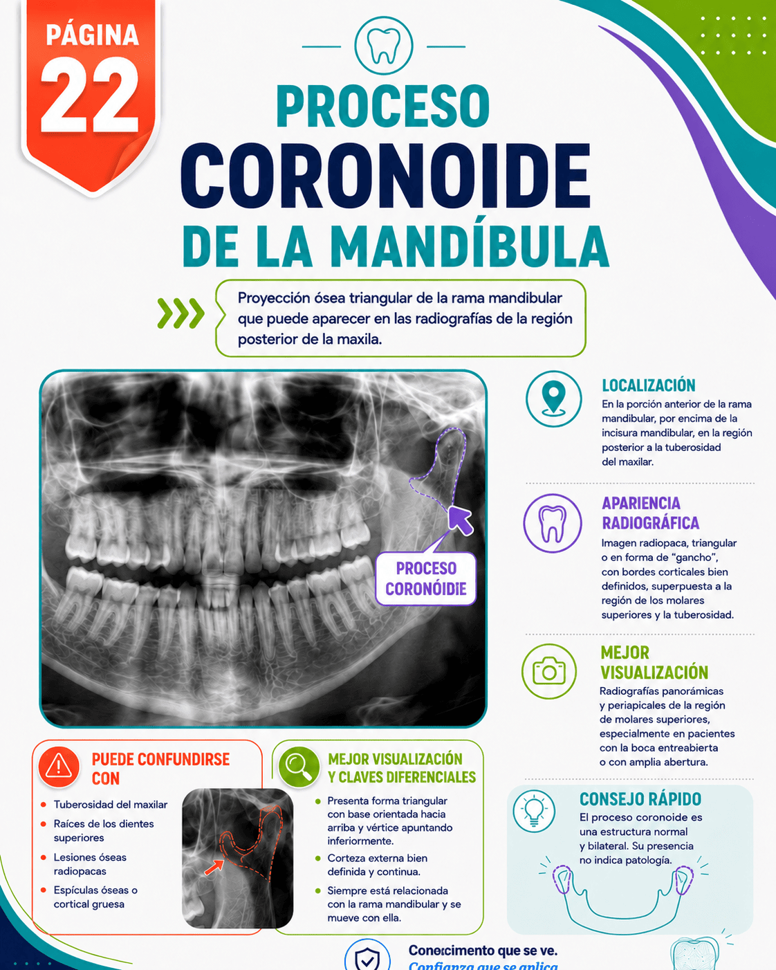 Ejemplo de contenido radiográfico